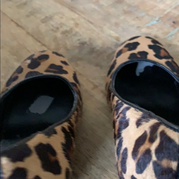 Sole Society Leopard Wedges - Picture 6 of 6